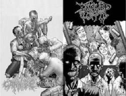 Cannibe : Cannibe - Impaled Cunts